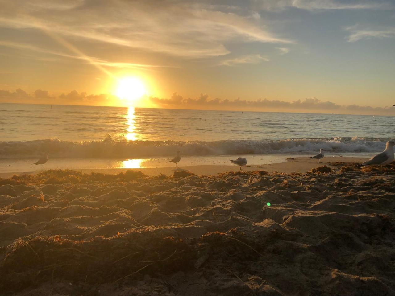 The 925 Ocean Boutique Hotel Deerfield Beach Ngoại thất bức ảnh